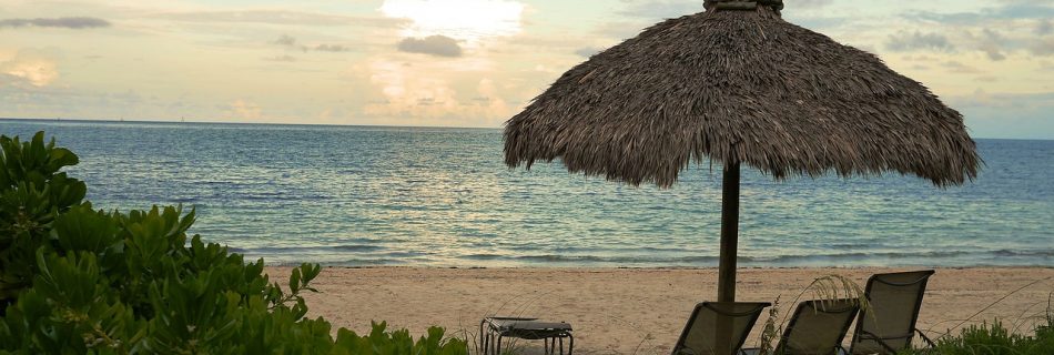umbrella at the beach